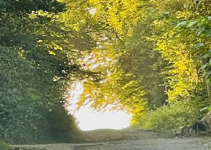 Fewo Schieberg